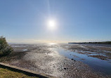 Deception Bay Dog Beach