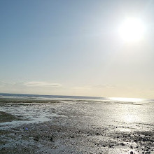 Deception Bay Dog Beach