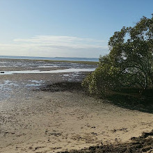 Deception Bay Dog Beach