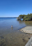 Deception Bay Dog Beach