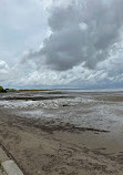 Deception Bay Dog Beach