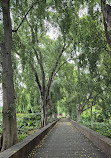 Brisbane City Botanic Gardens