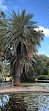 Brisbane City Botanic Gardens