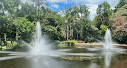 Brisbane City Botanic Gardens