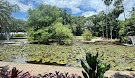 Brisbane City Botanic Gardens