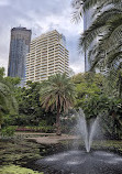 Brisbane City Botanic Gardens