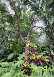 Brisbane City Botanic Gardens