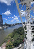 The Wheel of Brisbane