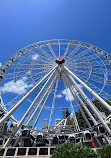 The Wheel of Brisbane