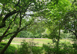 Haughton Dale Nature Reserve