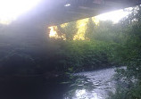 Haughton Dale Nature Reserve