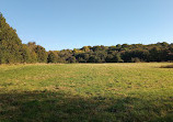 Haughton Dale Nature Reserve