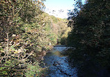 Haughton Dale Nature Reserve