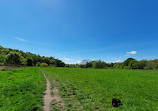 Haughton Dale Nature Reserve