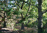 Haughton Dale Nature Reserve