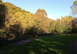 Haughton Dale Nature Reserve