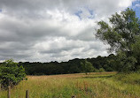 Haughton Dale Nature Reserve