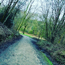 Haughton Dale Nature Reserve