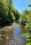 Haughton Dale Nature Reserve