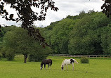 Haughton Dale Nature Reserve