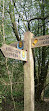 Haughton Dale Nature Reserve