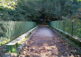 Haughton Dale Nature Reserve