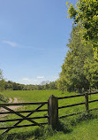 Haughton Dale Nature Reserve