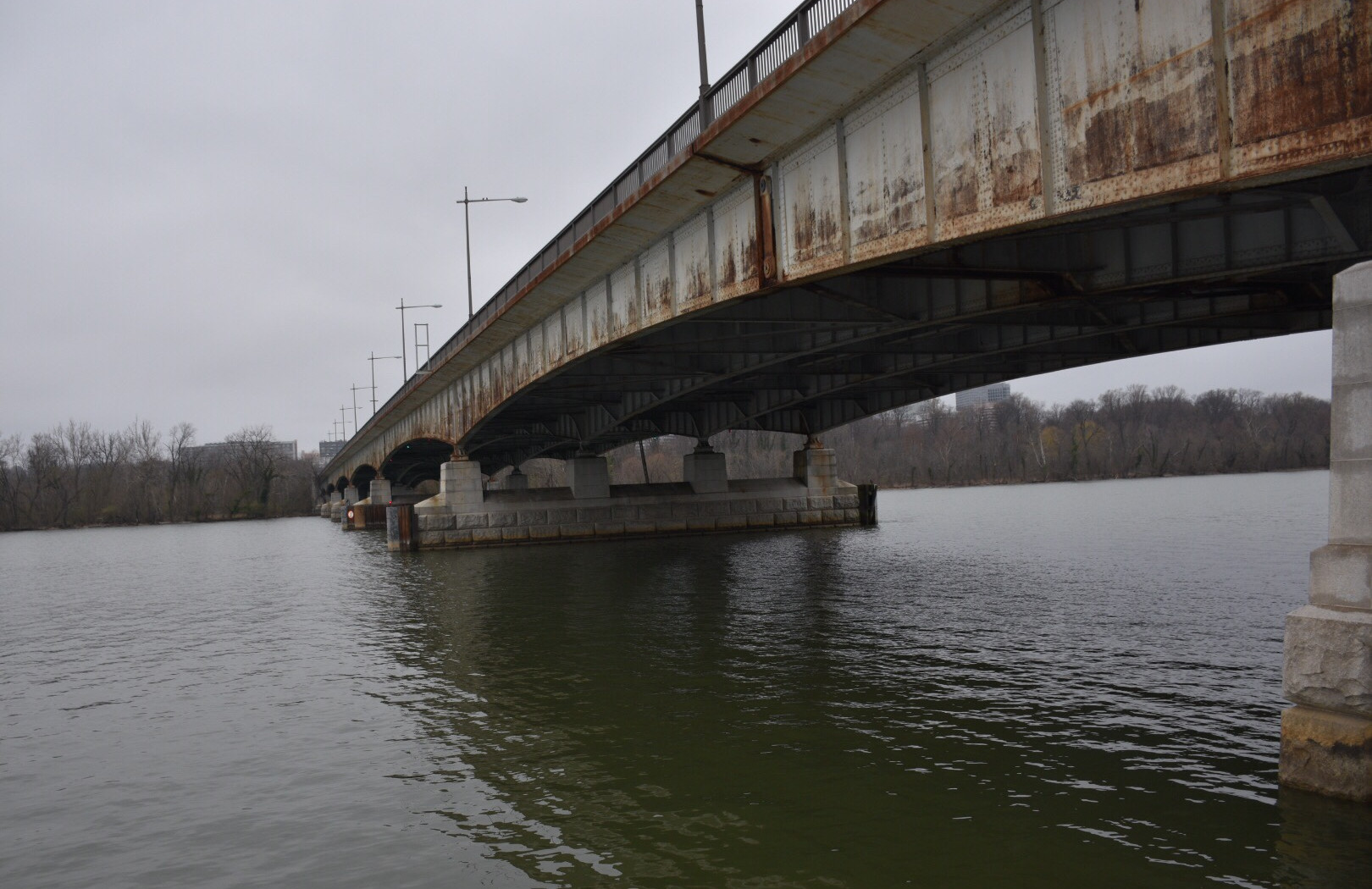 Ponte Teodoro Roosevelt