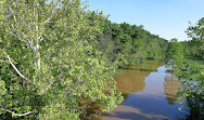 Theodore Roosevelt Bridge