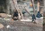 Zoo Frankfurt