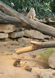 Zoo Frankfurt