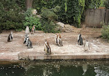 Zoo Frankfurt