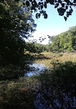 Moraine Nature Preserve