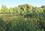 Moraine Nature Preserve