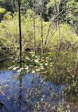 Moraine Nature Preserve