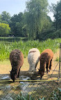 Tierpark Hagenbeck