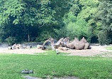 Tierpark Hagenbeck