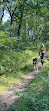 Indiana Dunes National Park Tolleston Dunes