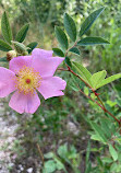 Indiana Dunes National Park Tolleston Dunes