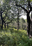 Indiana Dunes National Park Tolleston Dunes