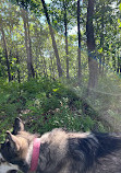 Indiana Dunes National Park Tolleston Dunes