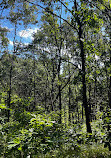 Indiana Dunes National Park Tolleston Dunes