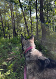 Indiana Dunes National Park Tolleston Dunes