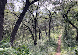 Indiana Dunes National Park Tolleston Dunes