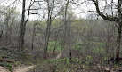 Indiana Dunes National Park Tolleston Dunes