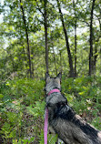 Indiana Dunes National Park Tolleston Dunes