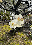 Tokugawa Park