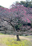 Tokugawa Park