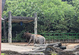 Taipei Zoo