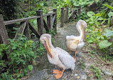 Taipei Zoo